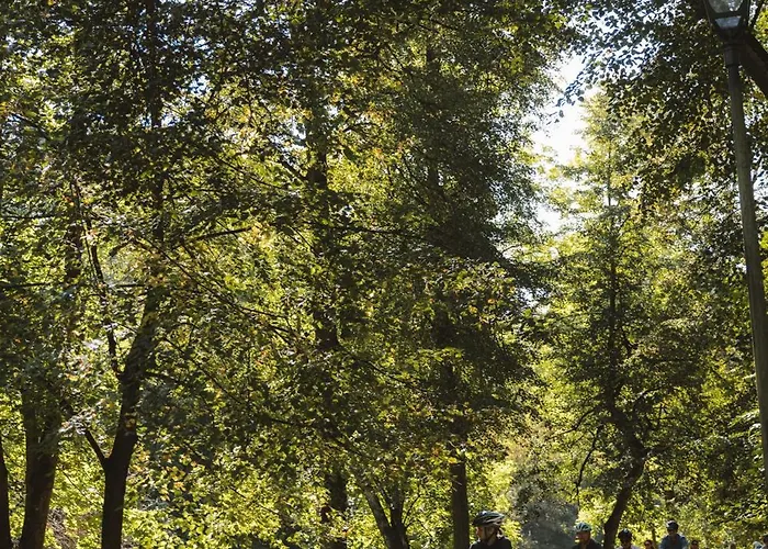 Apartament Ivis House Modern In Old Town With Balcony *