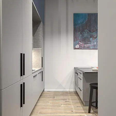 公寓 Ivis House Modern In Old Town With Balcony 维尔纽斯