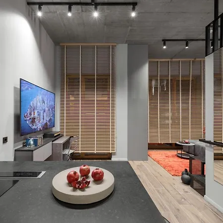 公寓 Ivis House Modern In Old Town With Balcony 维尔纽斯